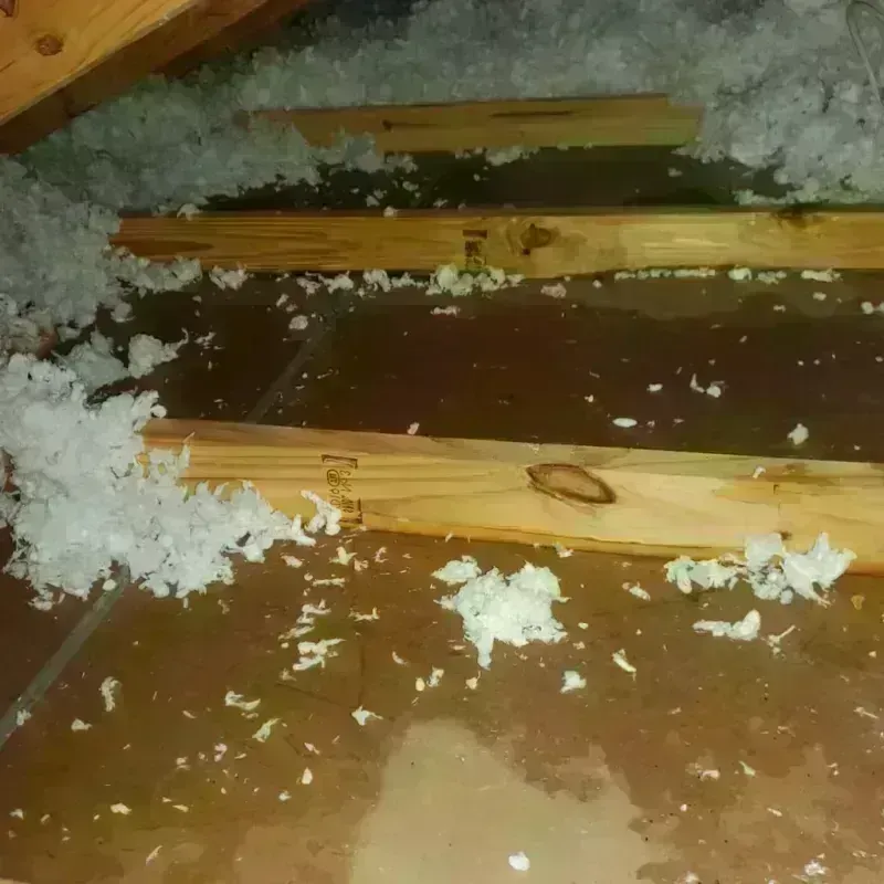 Attic Water Damage in Windsor, VT